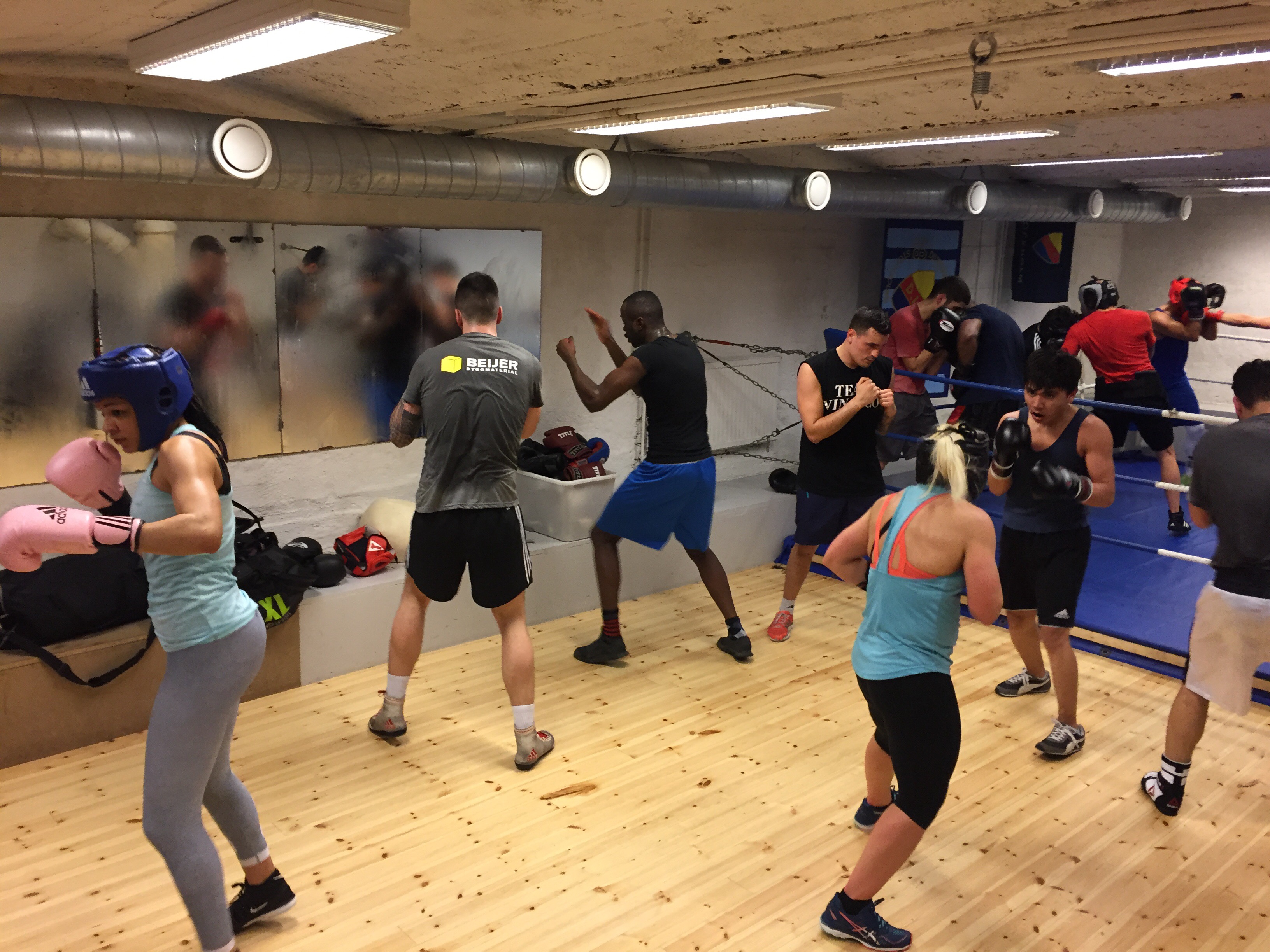 Säsongstart hos DIF Boxning!