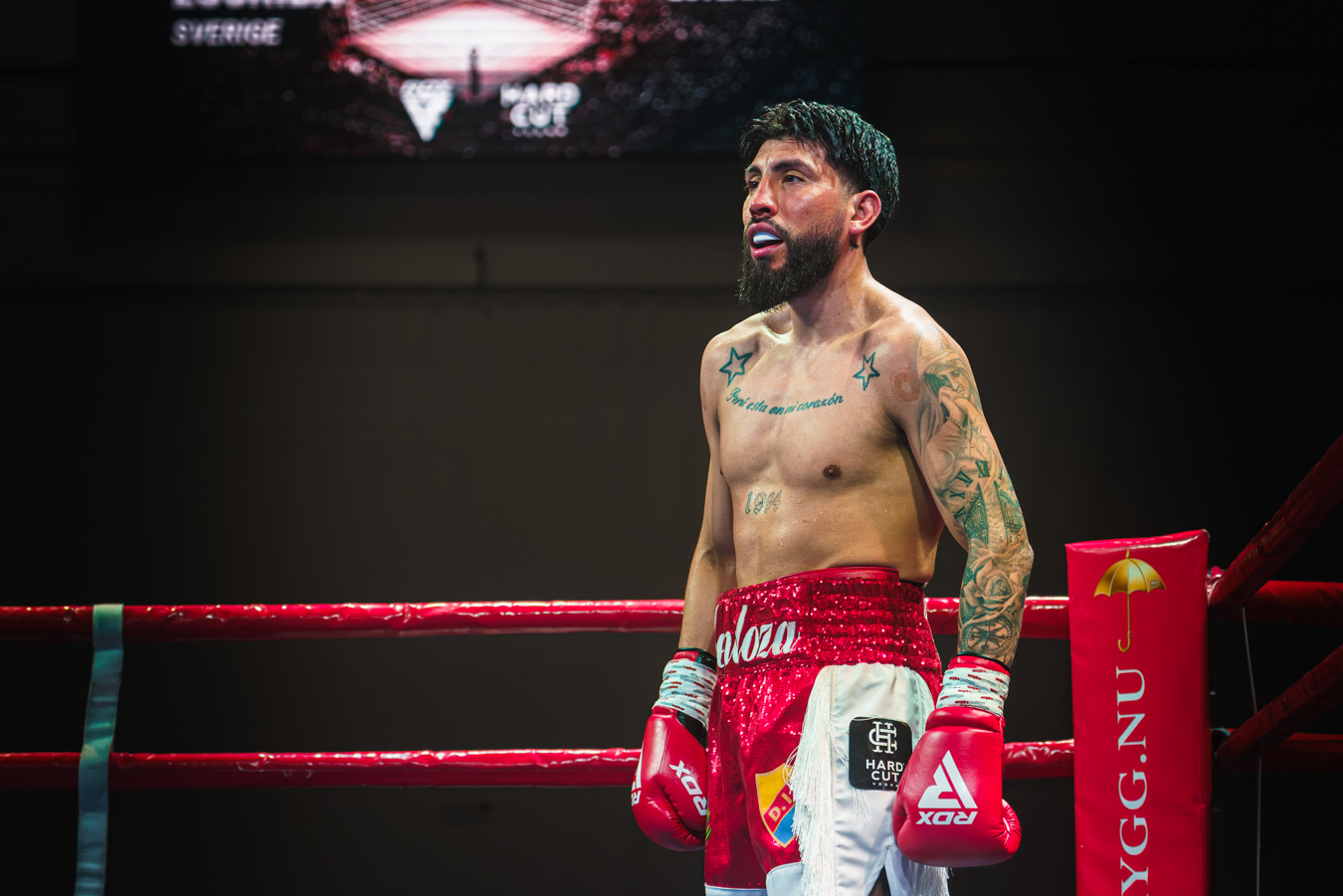 Boxare i röda shorts står i ringen