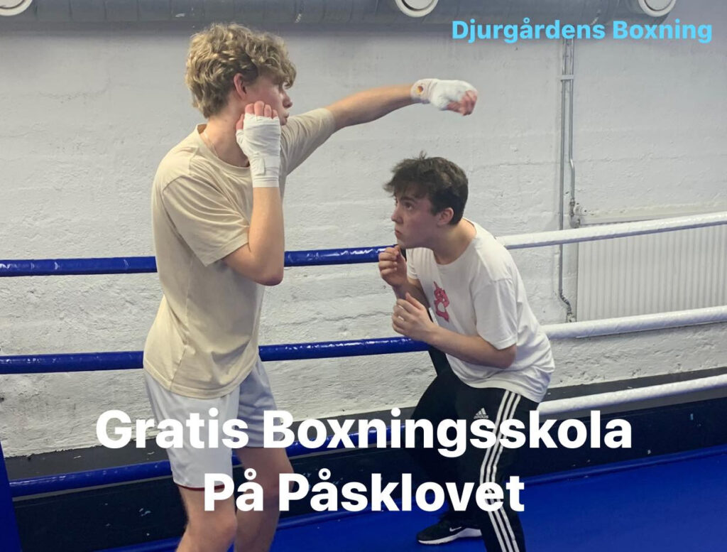 Djurgården arrangerar gratis boxningsskola på påsklovet för alla stockholmsungdomar under 20 år.