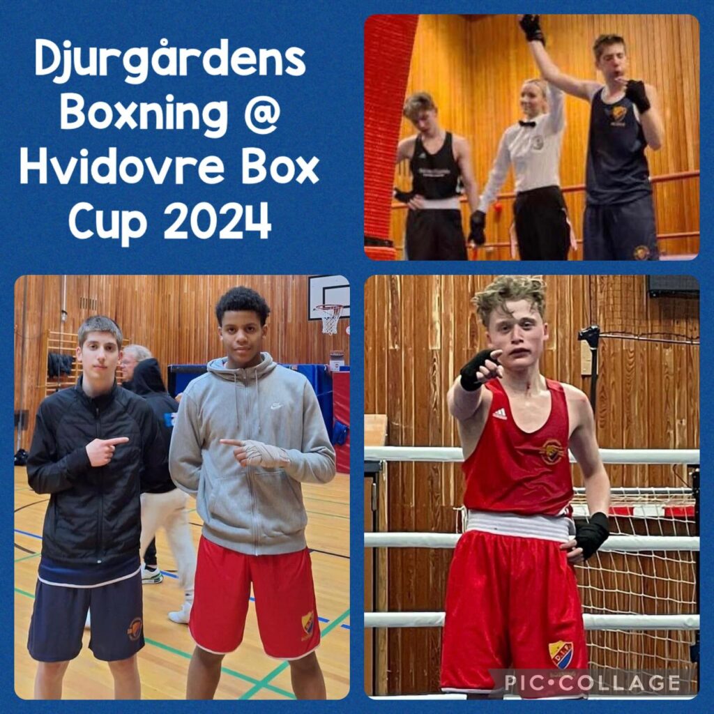 Två guld och ett silver på Hvidovre Box Cup 2024